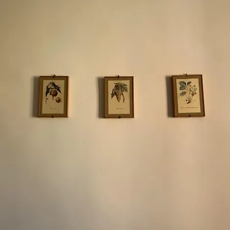 Oldcity Centre Casa Risorgimento 公寓 奇维塔韦基亚